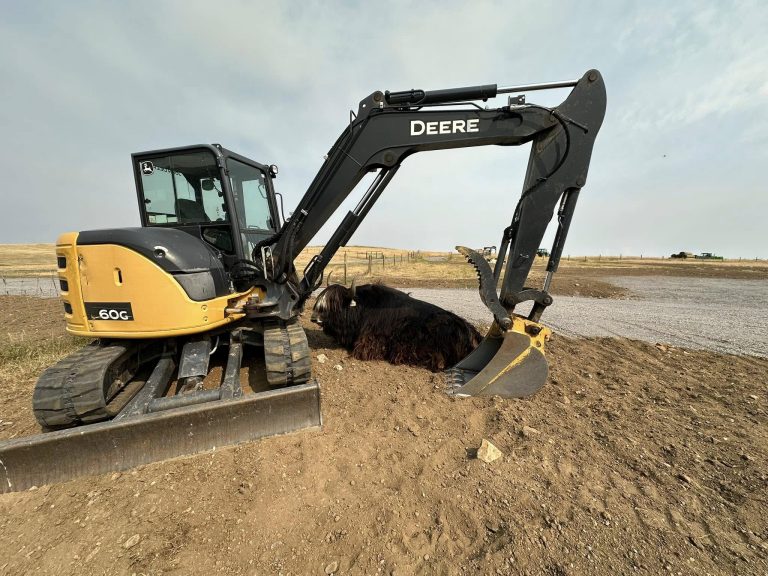 John Deere Excavator Preparing Soil for Irrigation in Agricultural Project