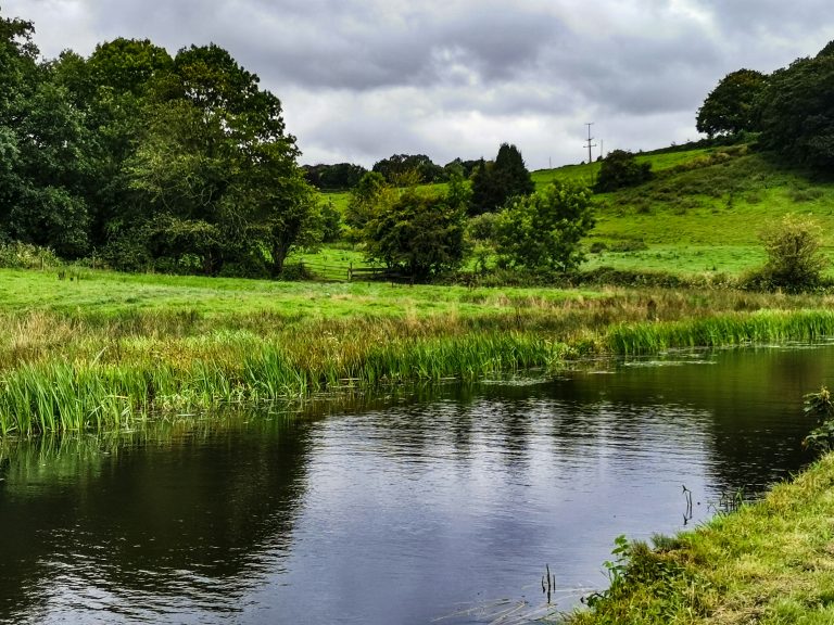 What to Expect When Digging a Pond on Rural Land